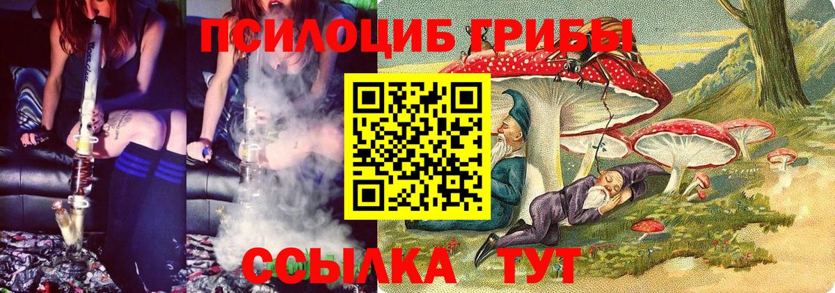 Галлюциногенные грибы прущие грибы  Вход с VPN  Псилоцибиновые грибы MAGIC MUSHROOMS  Новосибирск 
